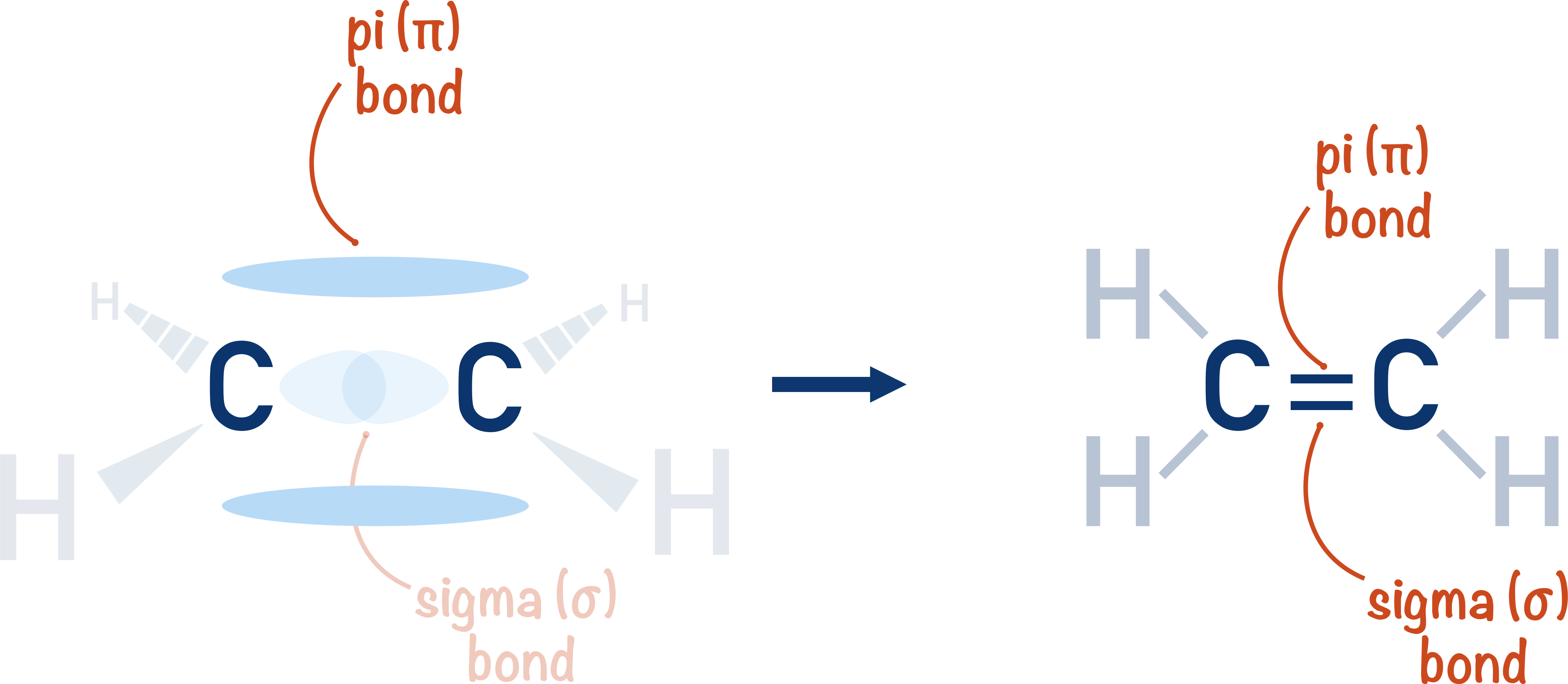 carbon double bond sigma pi