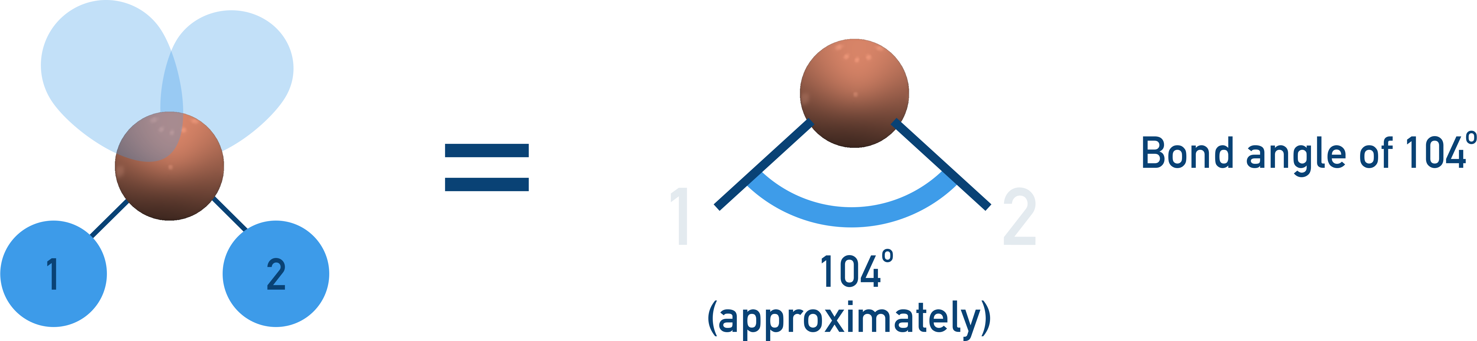 AP Chemistry bent (non-linear) molecular shape such as water with 104.5° bond angle