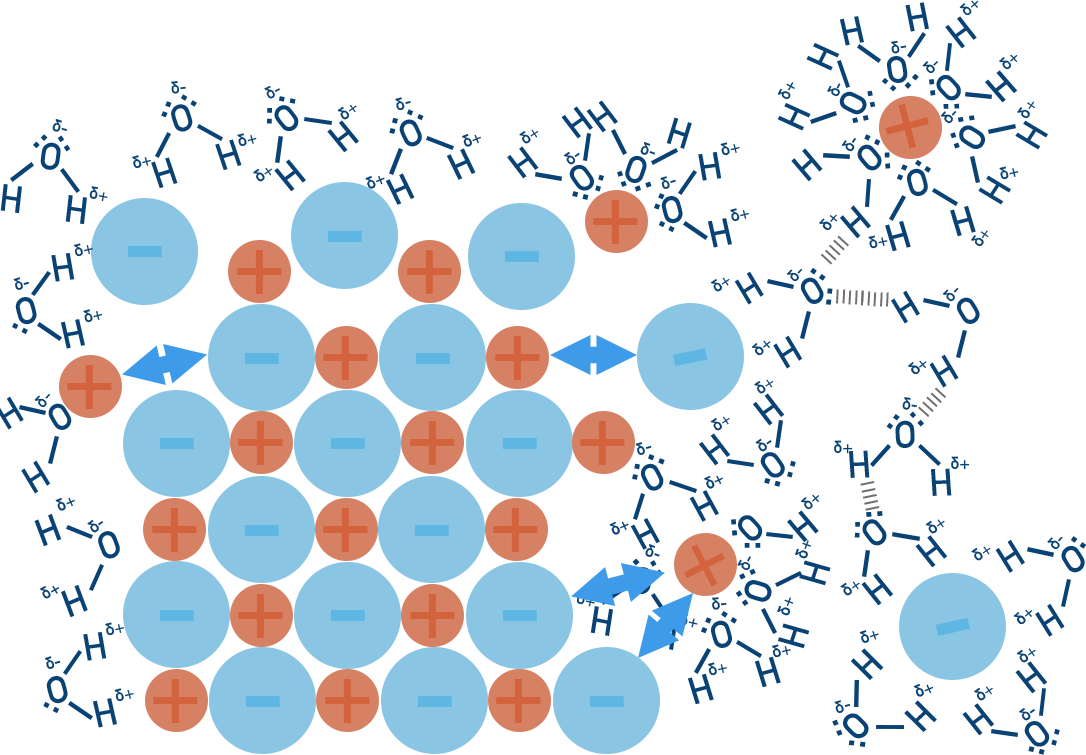 AP Chemistry ion–dipole solvation diagram showing water molecule orientation around cations and anions in solution.