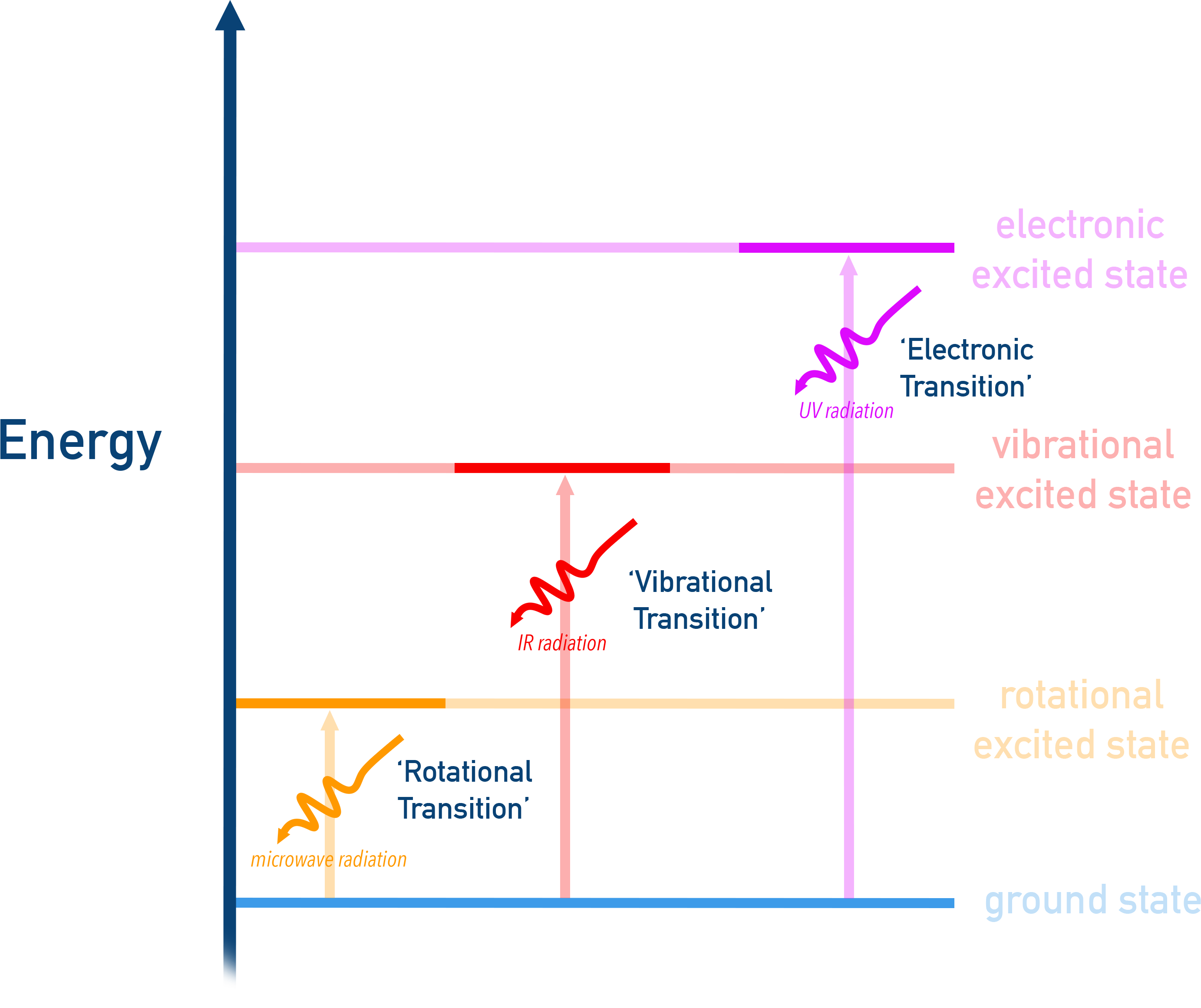 AP Chemistry energy-level diagram showing ground, rotational, vibrational, and electronic excited states with microwave, IR, and UV photons causing the corresponding transitions.