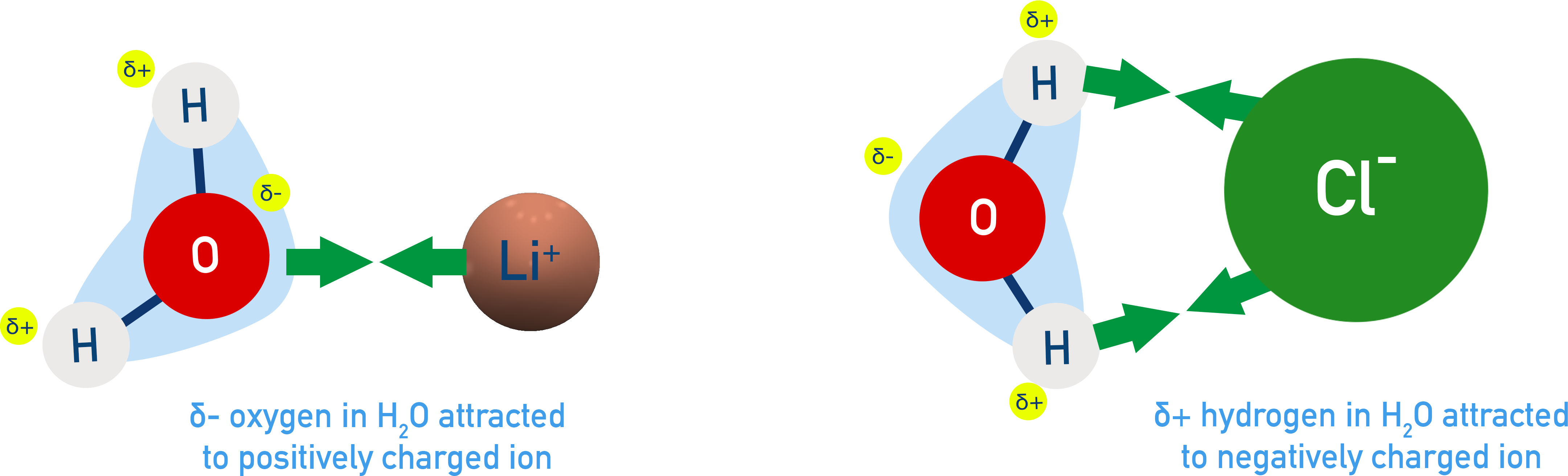 Ion-dipole forces