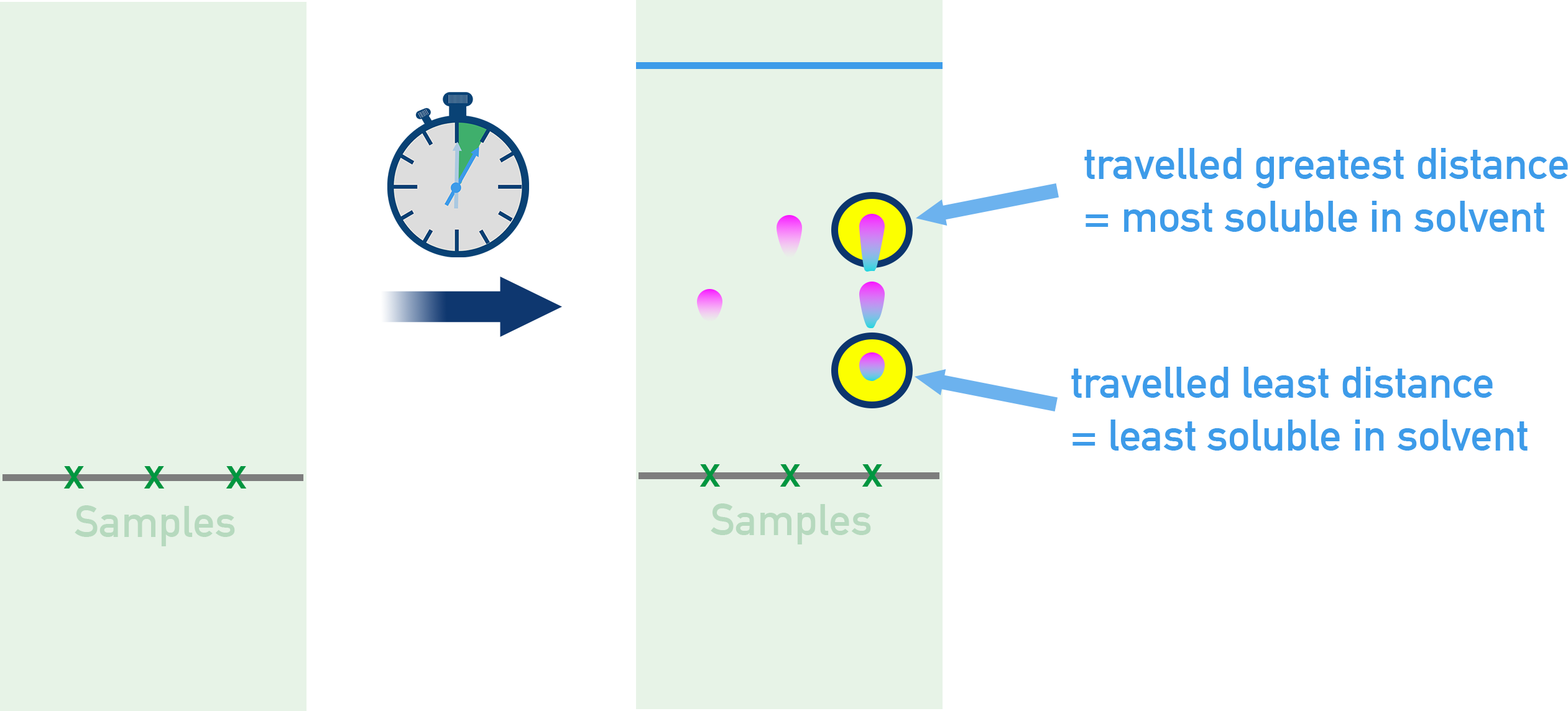 AP Chemistry chromatogram interpretation highlighting which spots travelled furthest or least indicating relative solubilities.