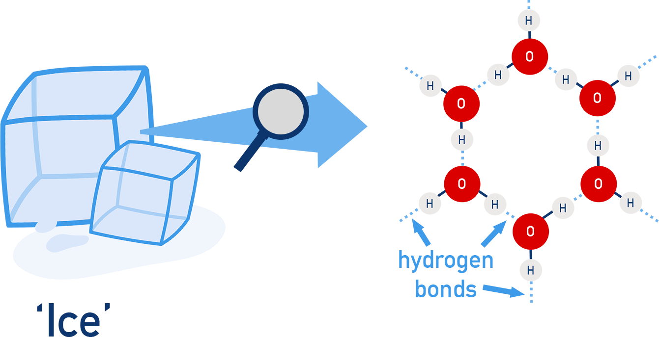 Hydrogen-bonded network in ice