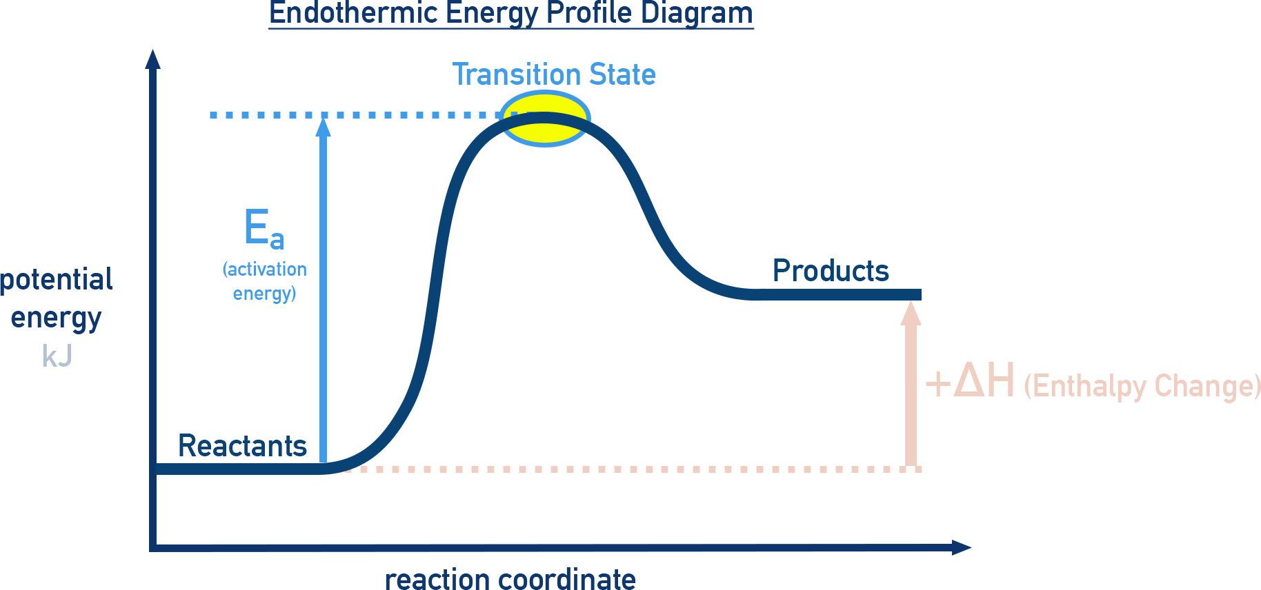 Endothermic energy profile diagram