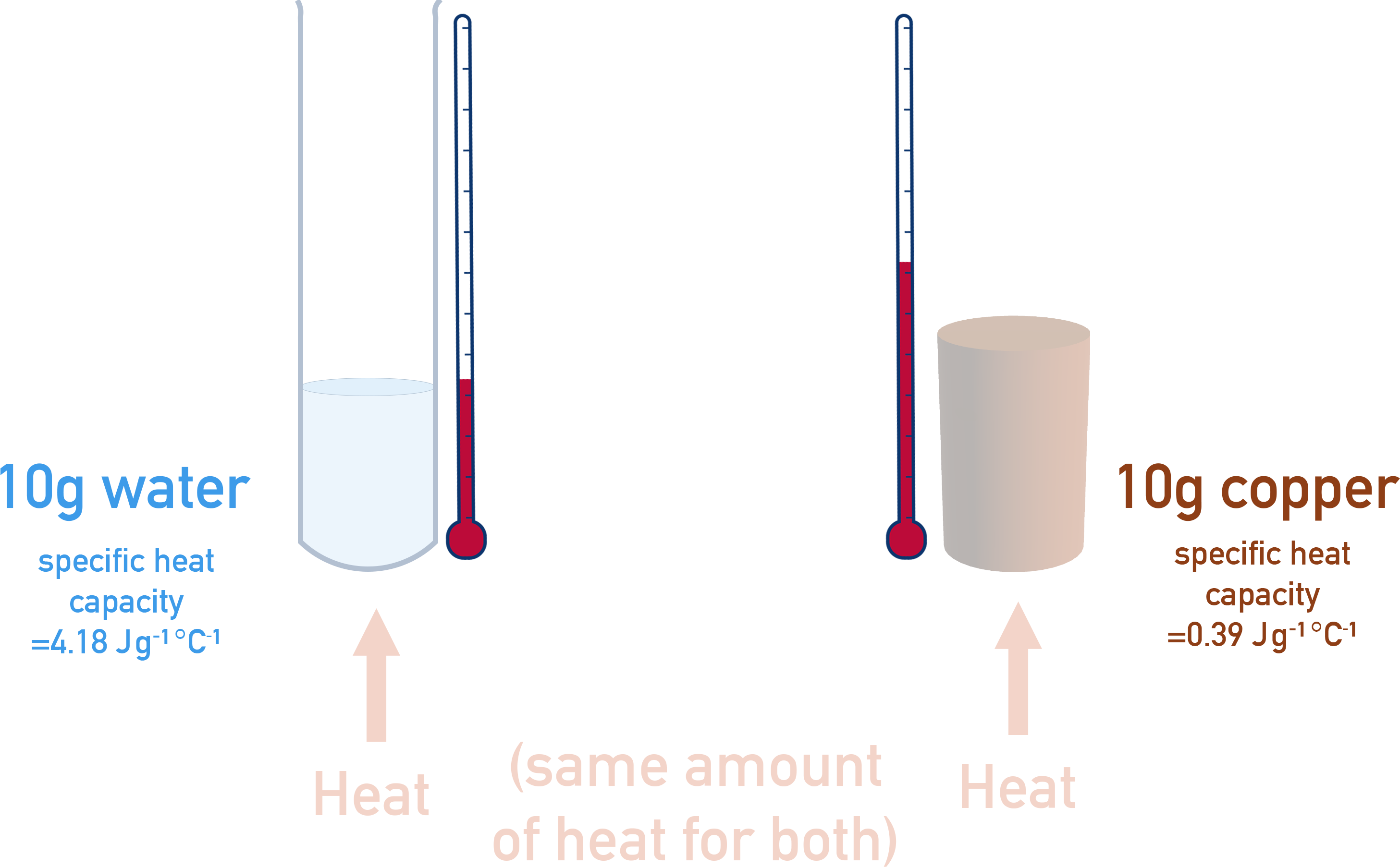 AP Chemistry diagram comparing specific heat of water and copper
