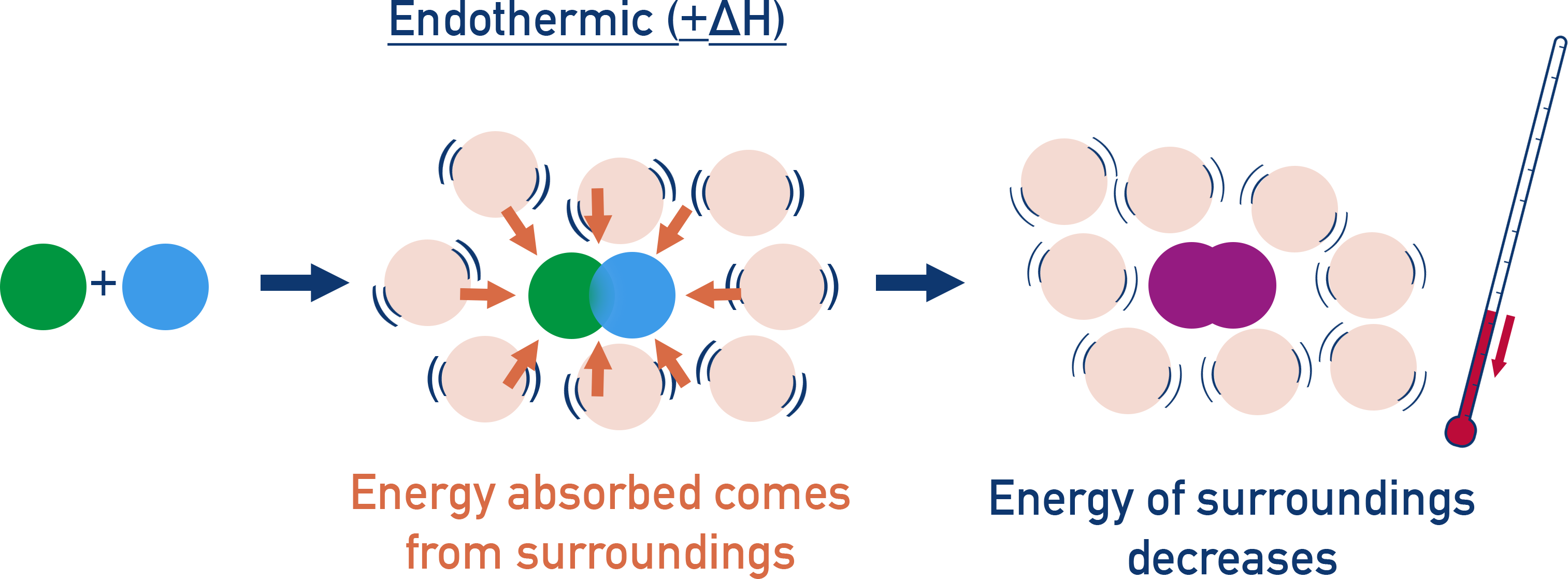 AP Chemistry diagram showing why endothermic reactions cause increase in temperature of surroudings