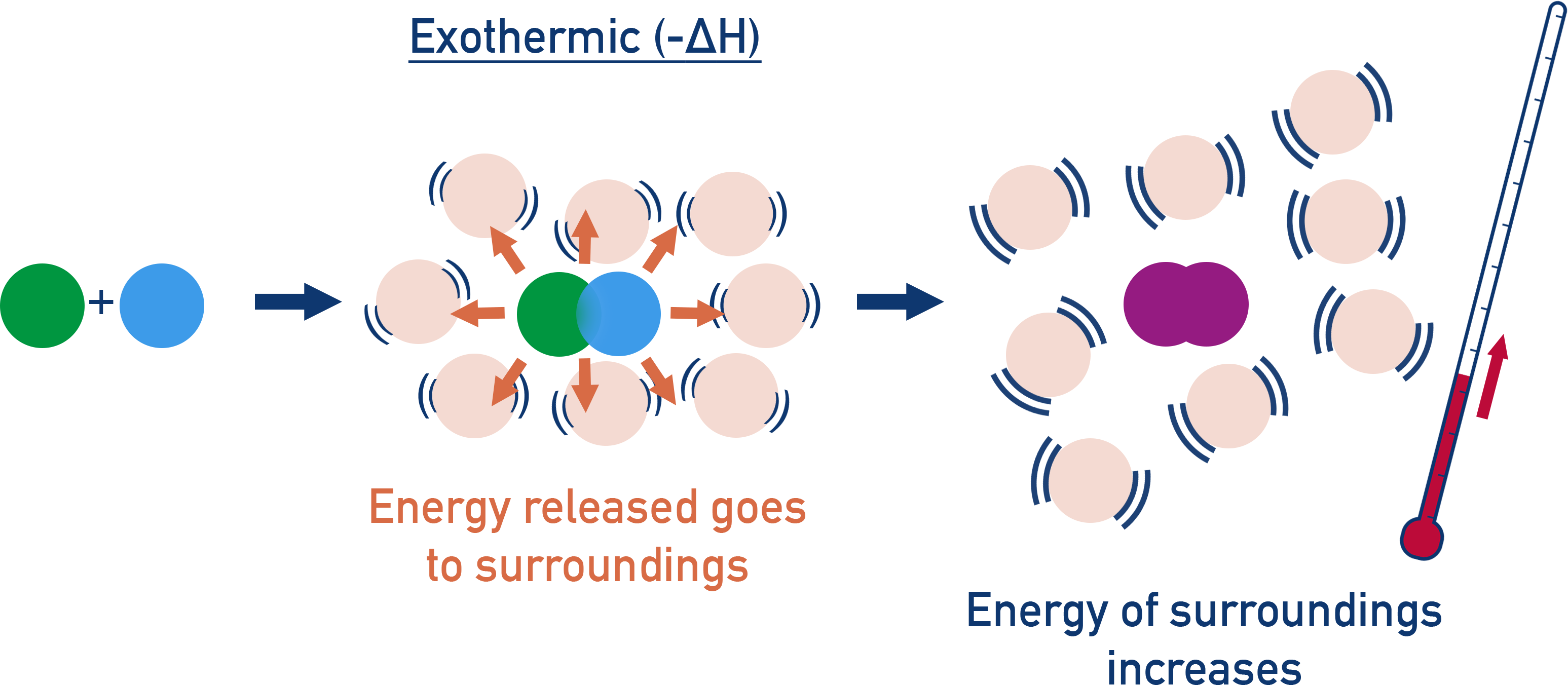 AP Chemistry diagram showing why exothermic reactions cause increase in temperature of surroudings
