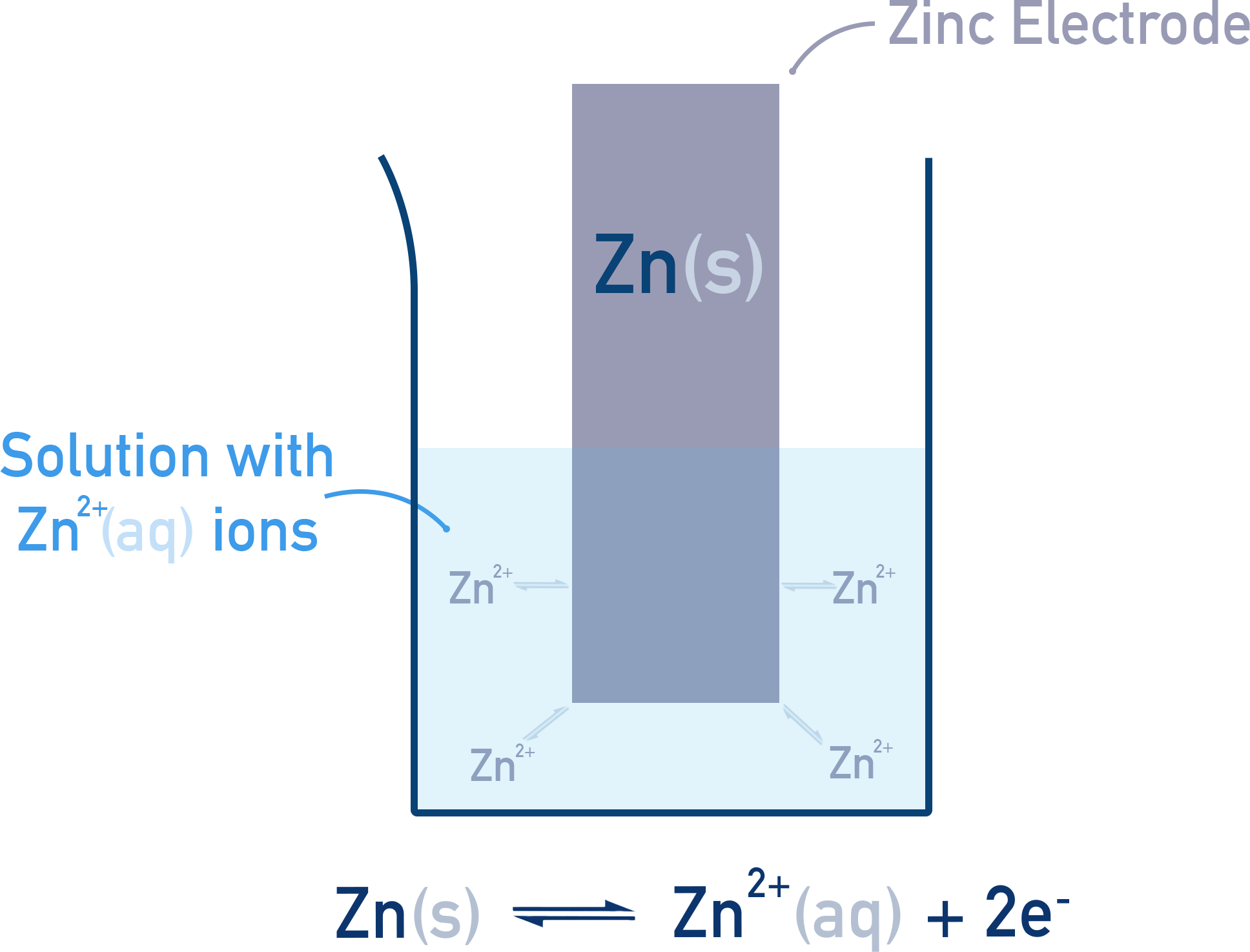 AP Chemistry zinc half-cell with Zn(s) in Zn2+ solution showing Zn(s) ⇌ Zn2+(aq) + 2e−.