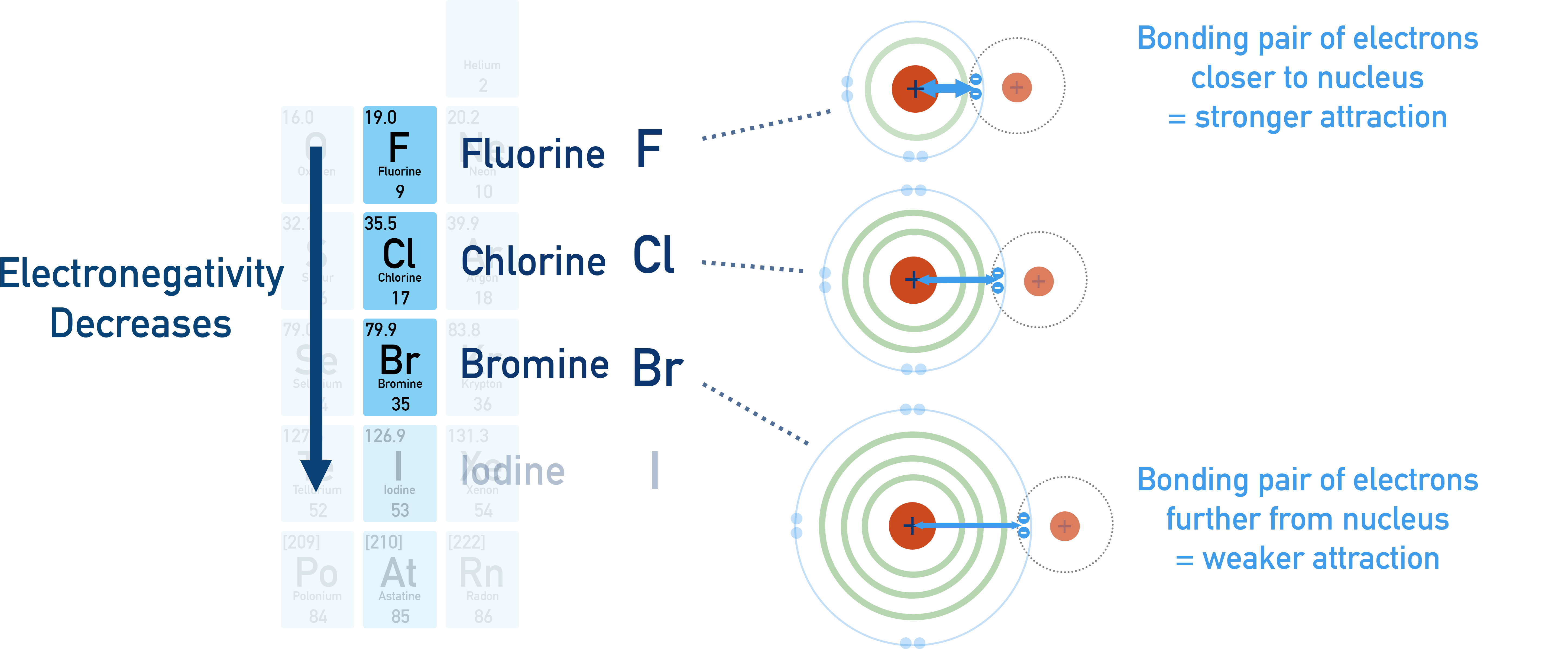 Electronegativity of halogens decreases down Group 7 due to increased radius and shielding