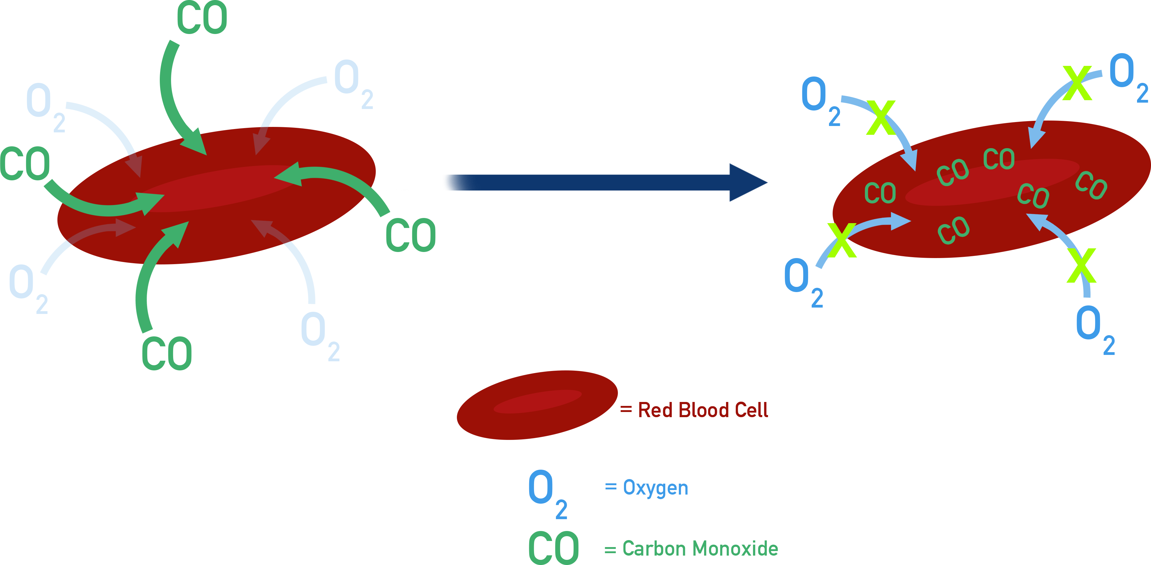 AQA A-Level Chemistry comparison of O2 vs CO binding to the Fe2+ centre in haemoglobin