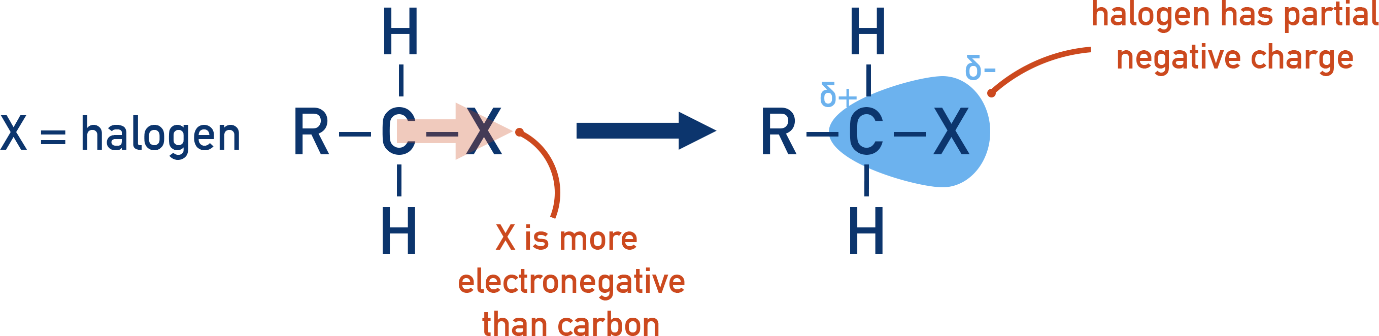 AQA A-Level Chemistry Polar C–X bond with δ+ on carbon and δ− on halogen
