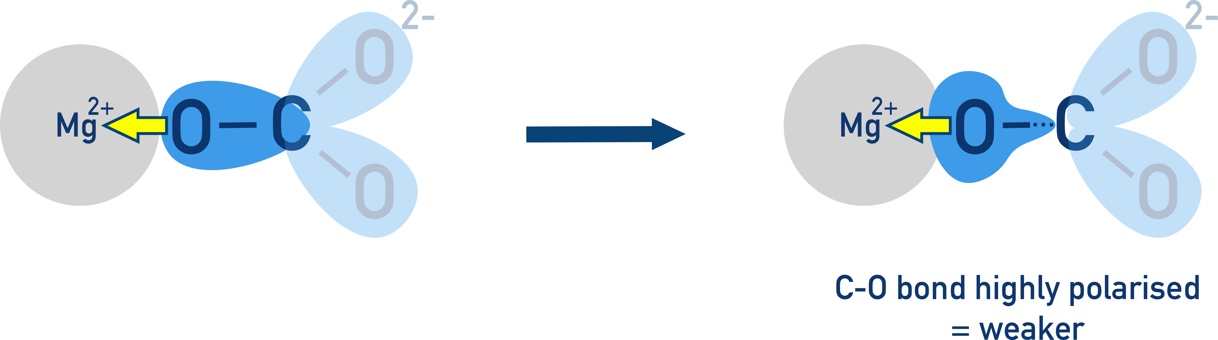 CIE A-Level Chemistry showing polarisation of a carbonate ion by a small cation such as Mg2+.