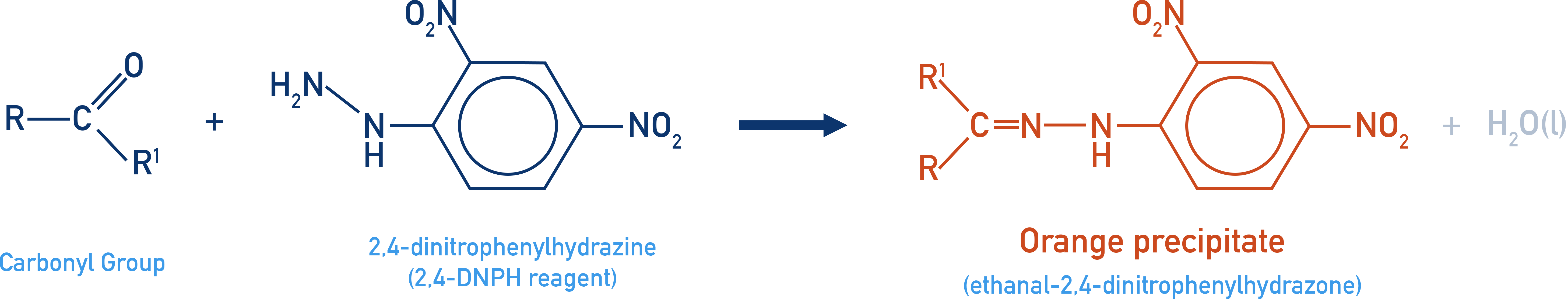 Edexcel A-Level Chemistry schematic of hydrazone formation between 2,4-DNPH and a carbonyl group.