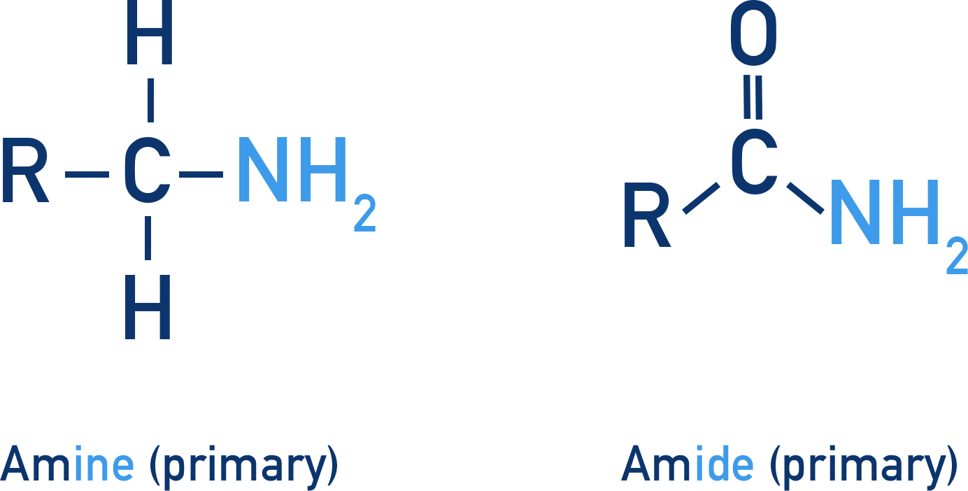 Edexcel A-Level Chemistry diagram comparing amines based on NH3 and amides with a carbonyl directly bonded to nitrogen.