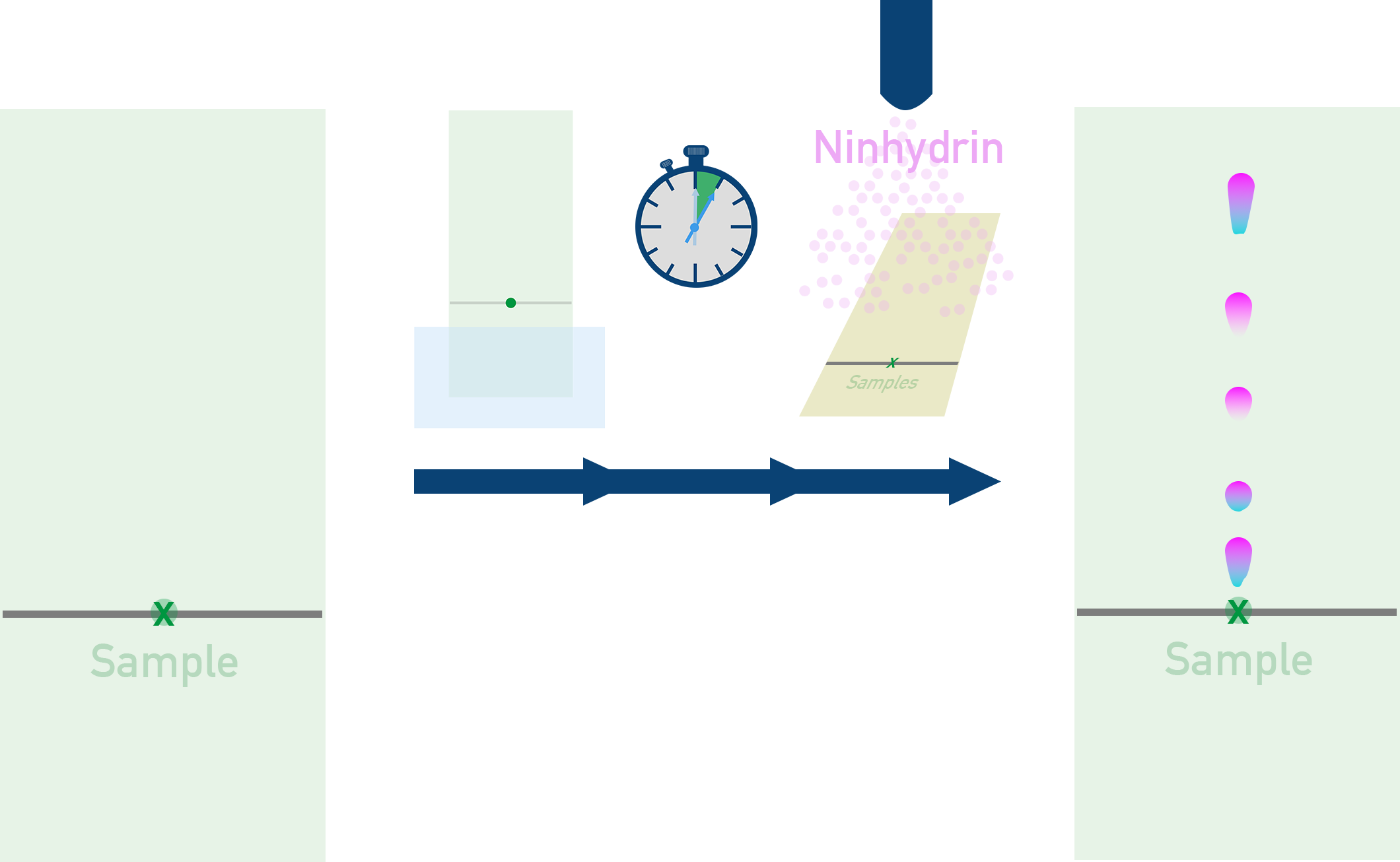 Edexcel A-Level Chemistry TLC separation of amino acids with visualisation by ninhydrin and calculation of Rf values.