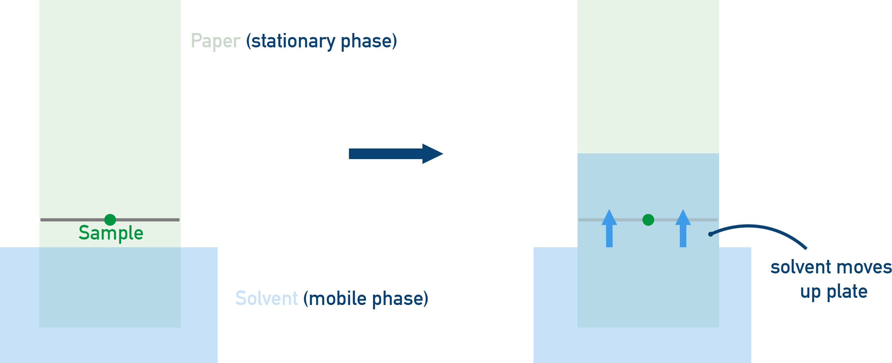 Edexcel A-Level Chemistry diagram of a TLC plate showing stationary phase on a solid plate and solvent mobile phase moving up by capillary action.