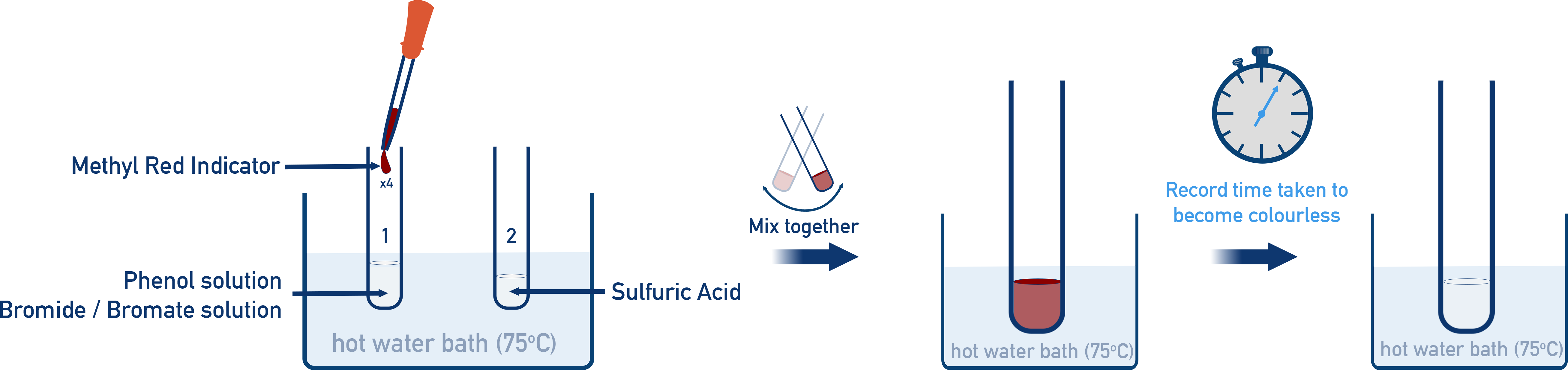 Experimental setup for determining activation energy using the Arrhenius experiment.