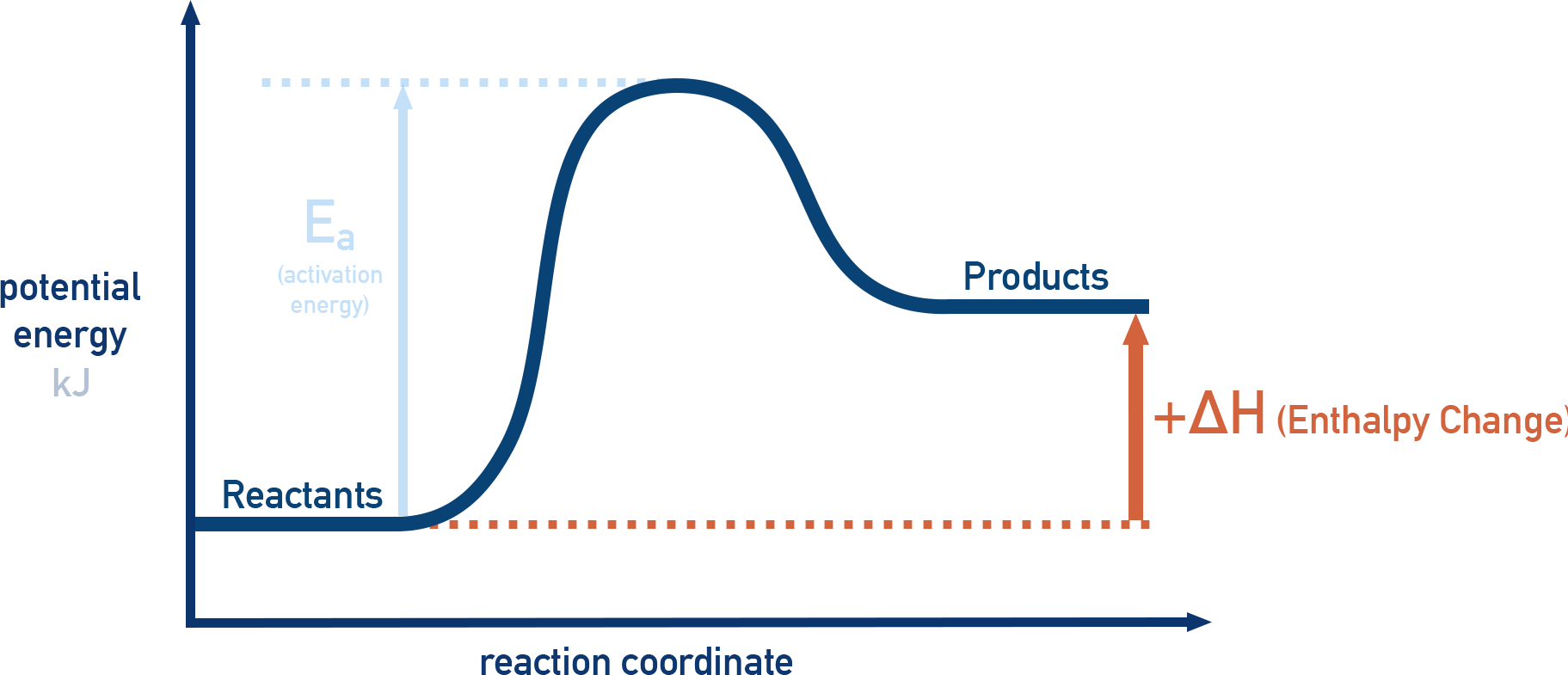 IB Chemistry energy profile diagram for an endothermic reaction showing reactants at lower potential energy than products, with ΔH positive and a peak indicating activation energy.