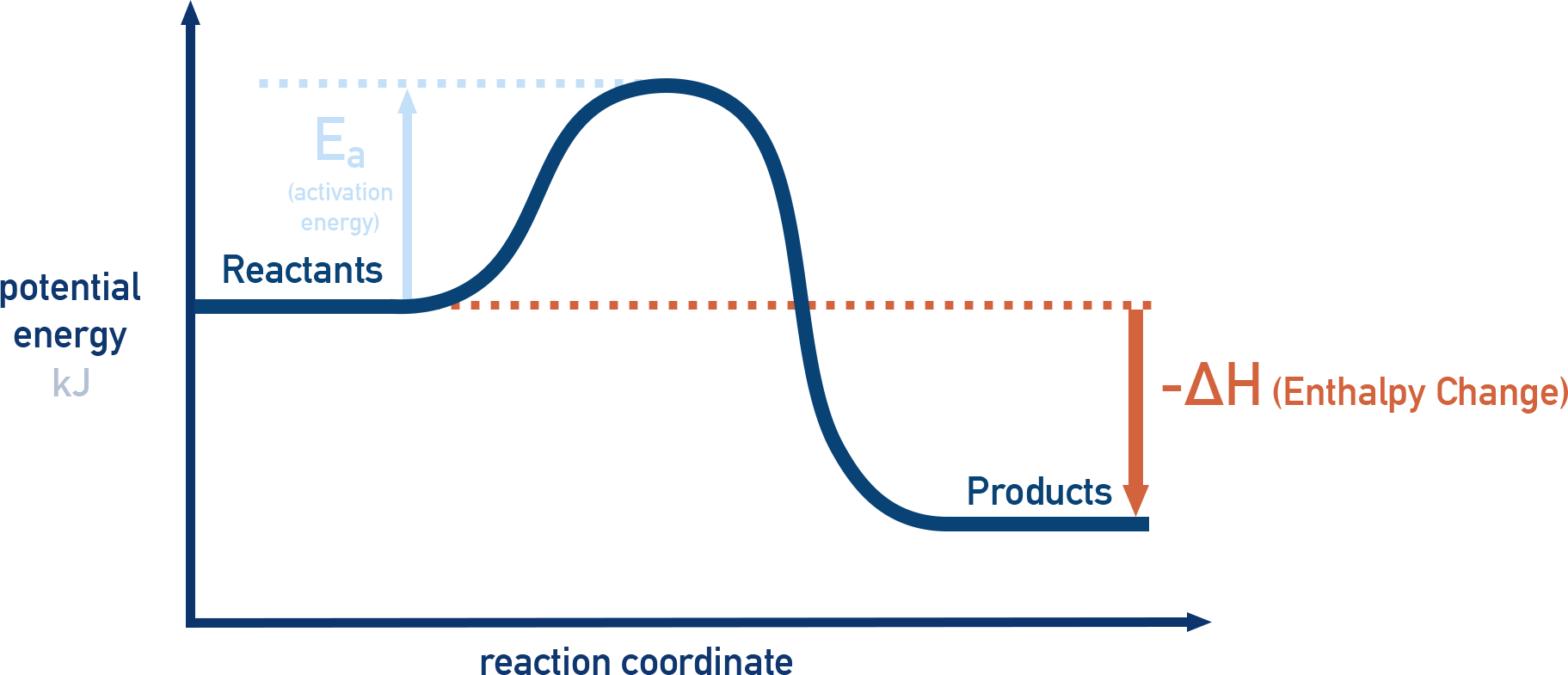 IB Chemistry energy profile diagram for an exothermic reaction showing reactants at higher potential energy than products, with ΔH negative and a peak indicating activation energy.