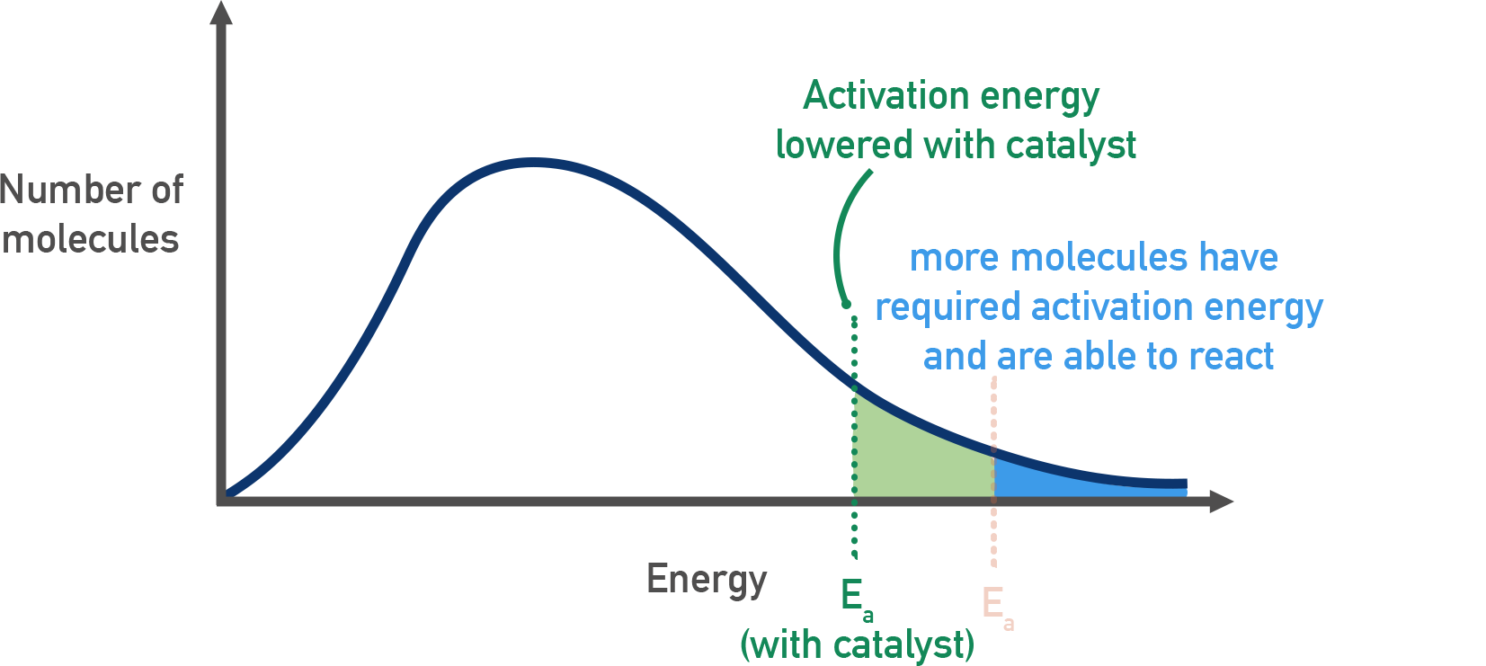 IB Chemistry Maxwell–Boltzmann distribution showing lowered activation energy when a catalyst is used.