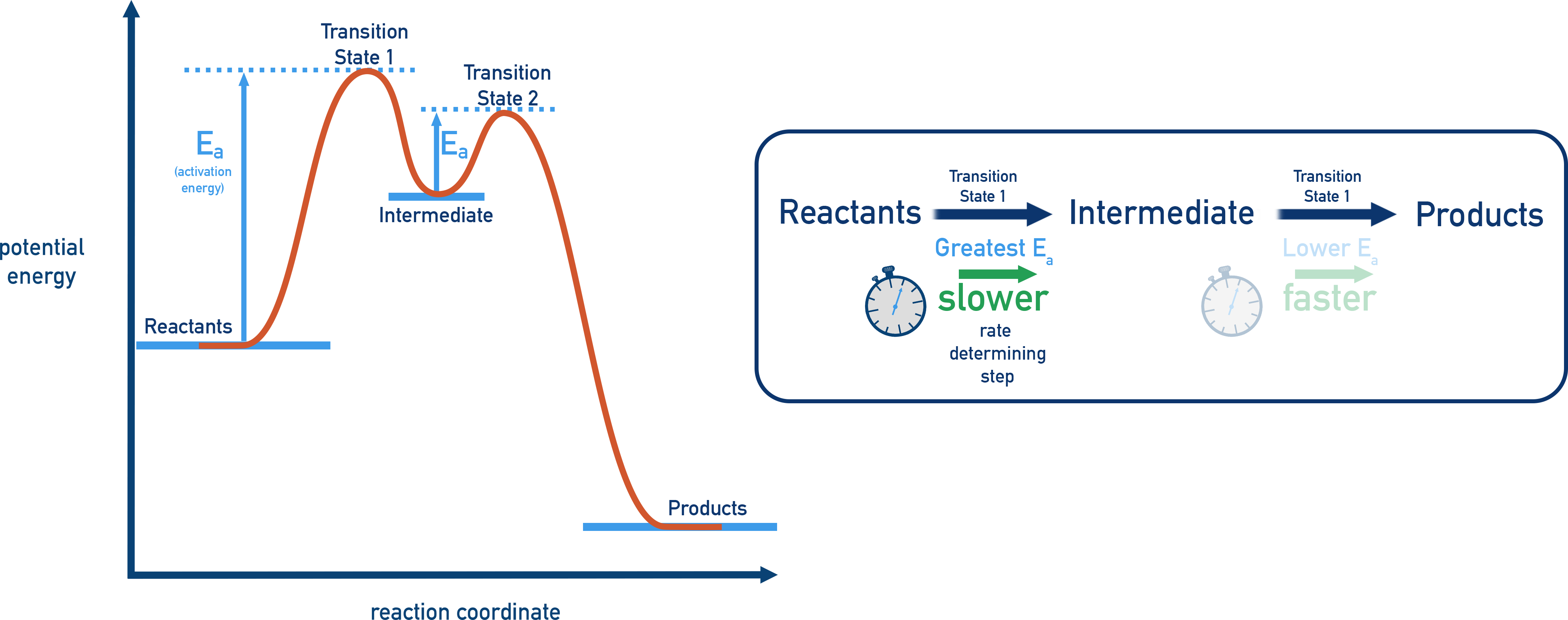IB Chemistry reaction energy profile with multiple steps, showing the tallest peak as the rate-determining step.