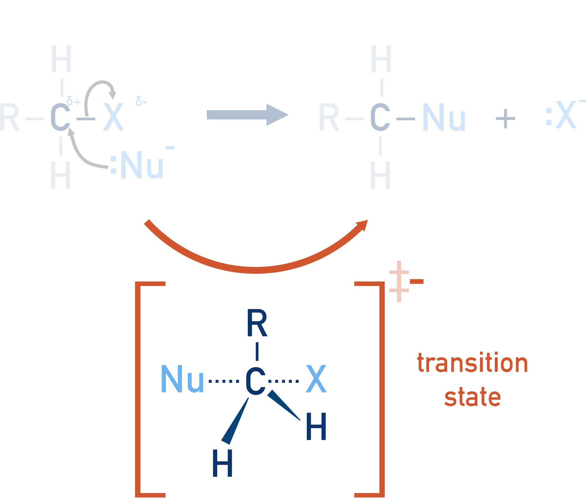 IB Chemistry SN2 transition state diagram showing the high-energy configuration at the top of the energy barrier.