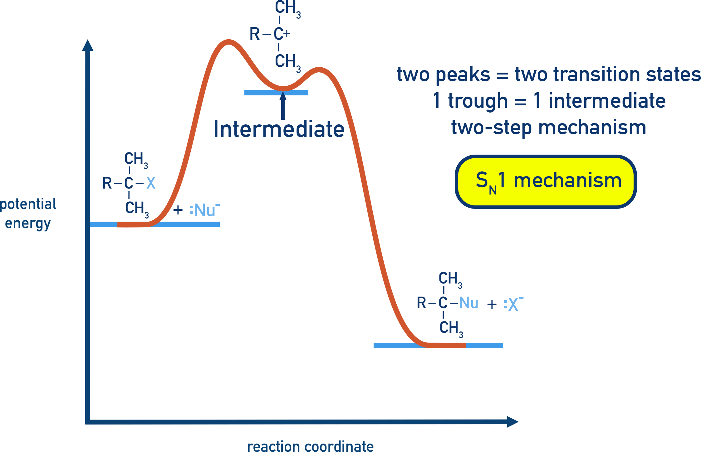 IB Chemistry SN1 energy profile showing two peaks and a carbocation intermediate.
