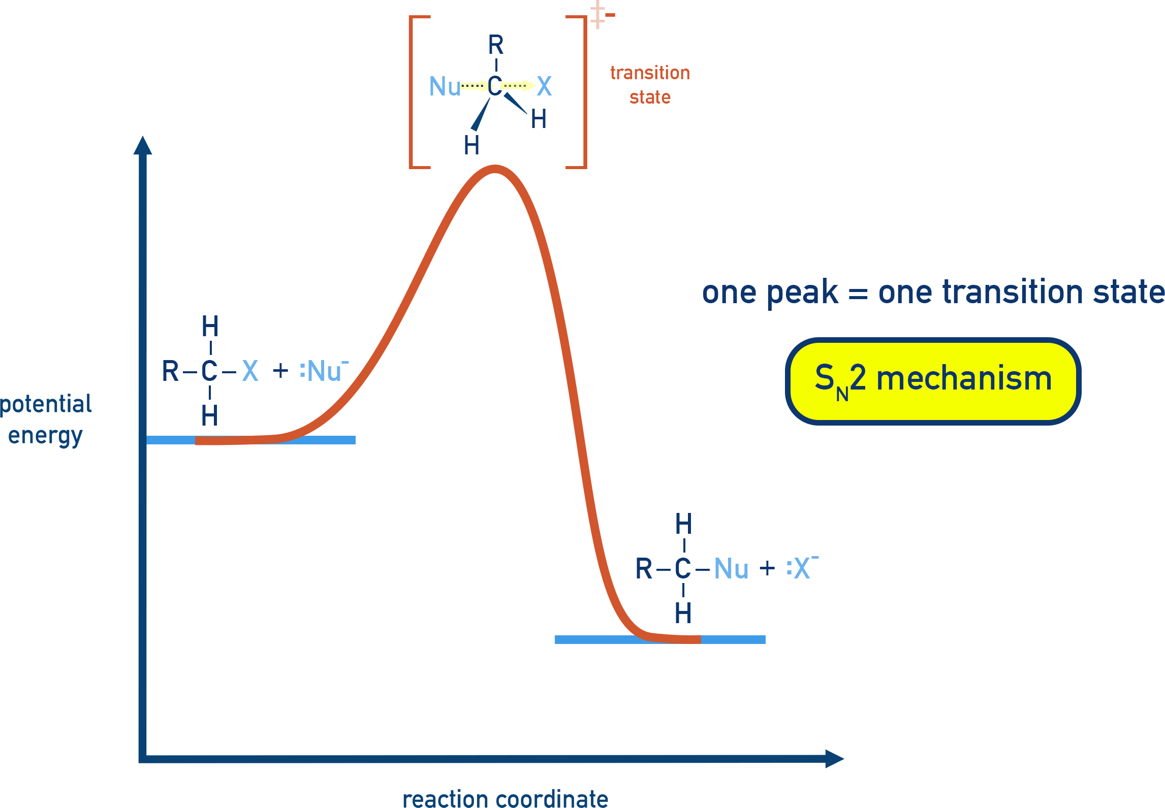IB Chemistry SN2 energy profile showing one peak for a concerted reaction.