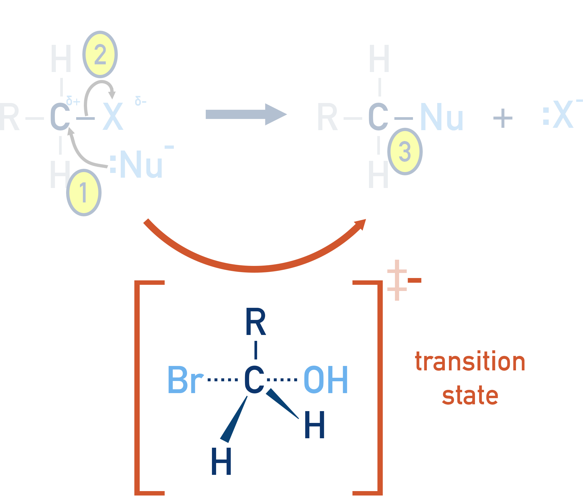 IB Chemistry SN2 transition state diagram showing partial bonds to nucleophile and leaving group.