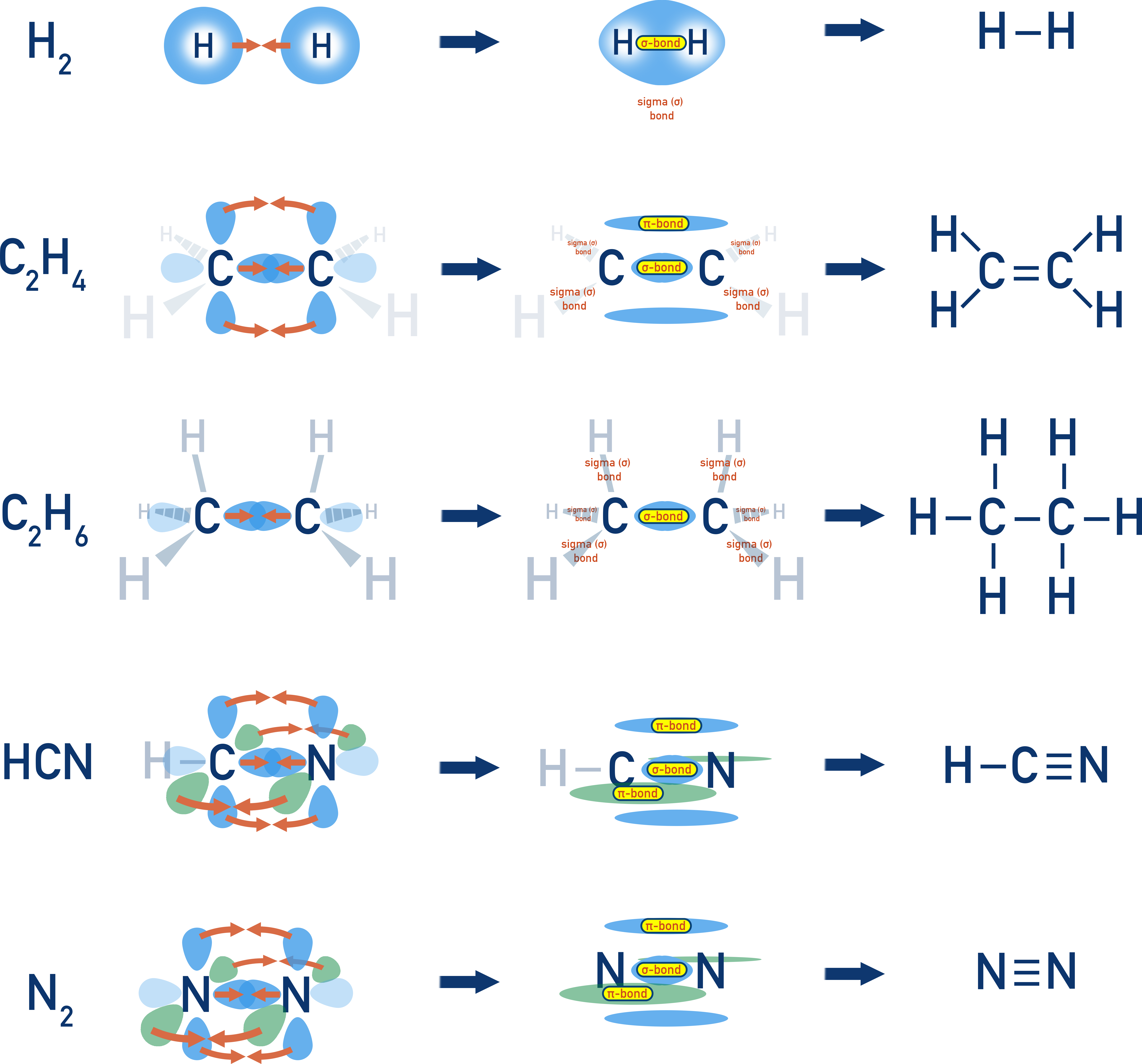 IB Chemistry examples of sigma and pi bonds in molecules such as H₂, ethane, ethene, HCN, and nitrogen.