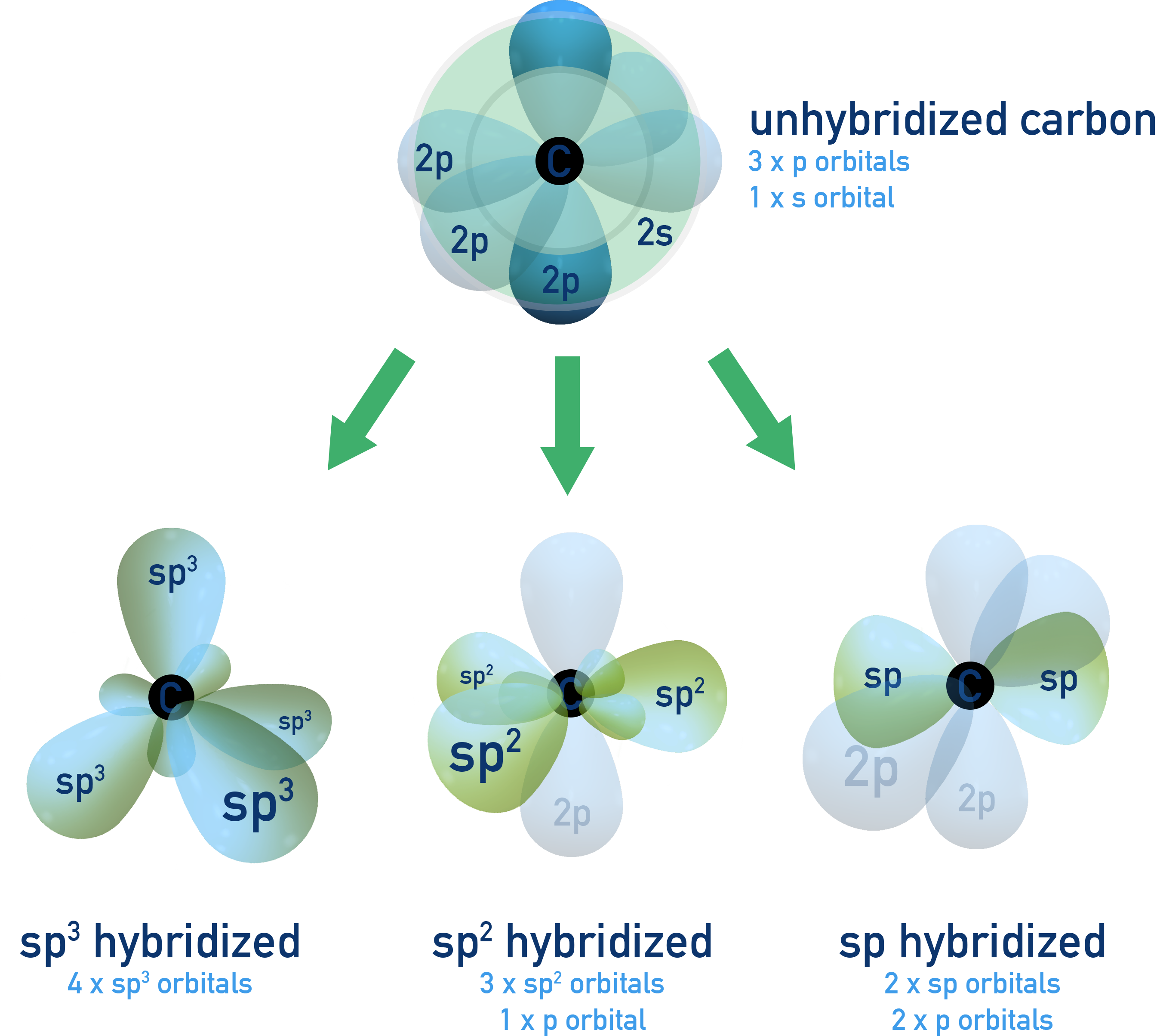 IB Chemistry diagram showing carbon hybrid orbitals forming in hybridization.