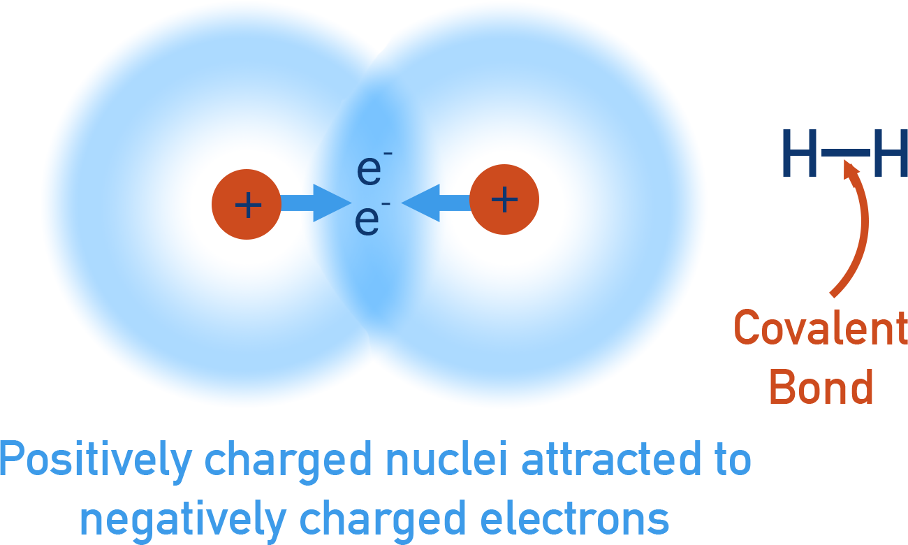 IB Chemistry diagram of covalent bonding showing nuclei attracting a shared pair of electrons.