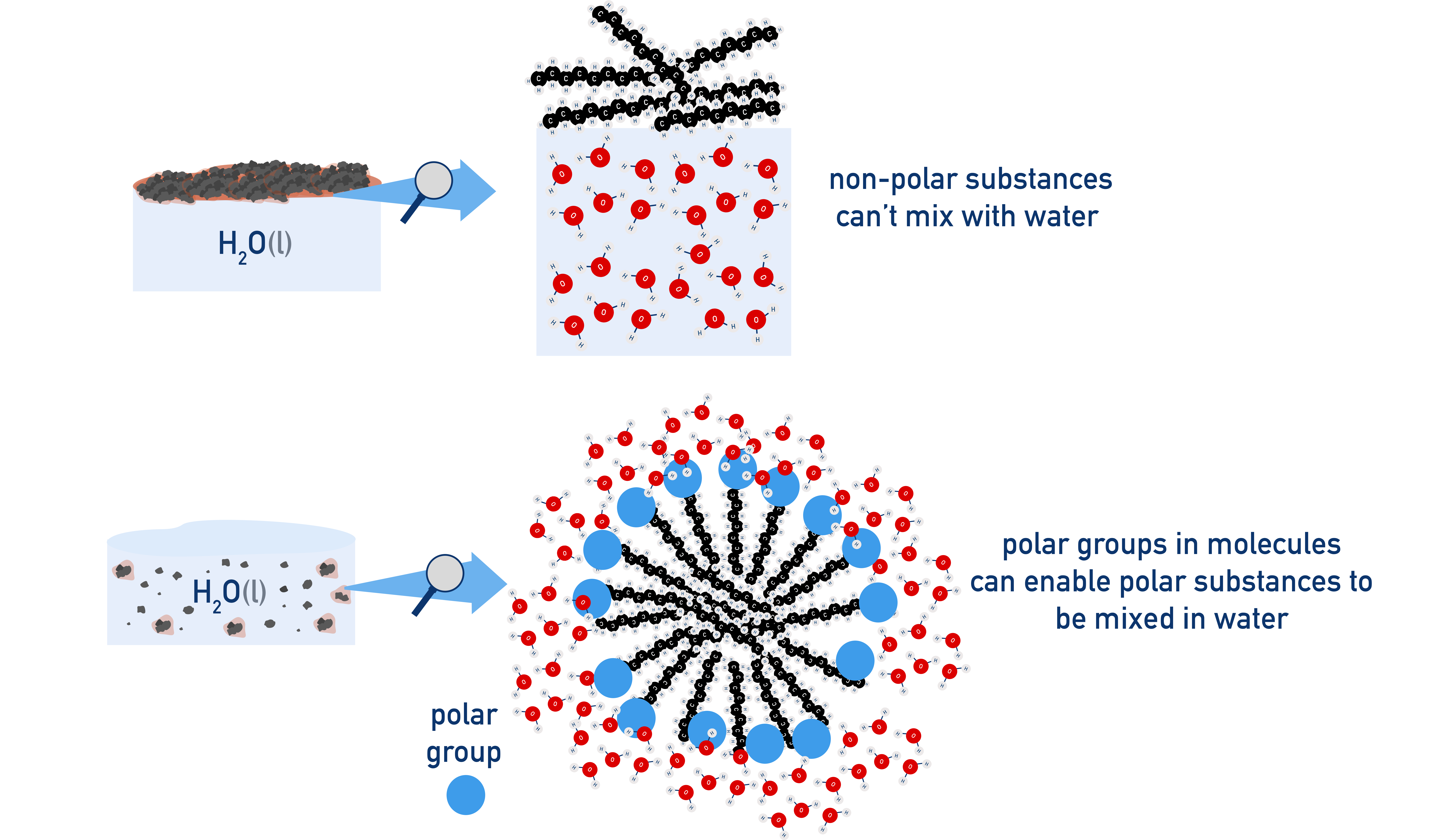 IB Chemistry diagram illustrating like dissolves like with polar water dissolving polar solutes and non-polar solvents dissolving non-polar solutes.