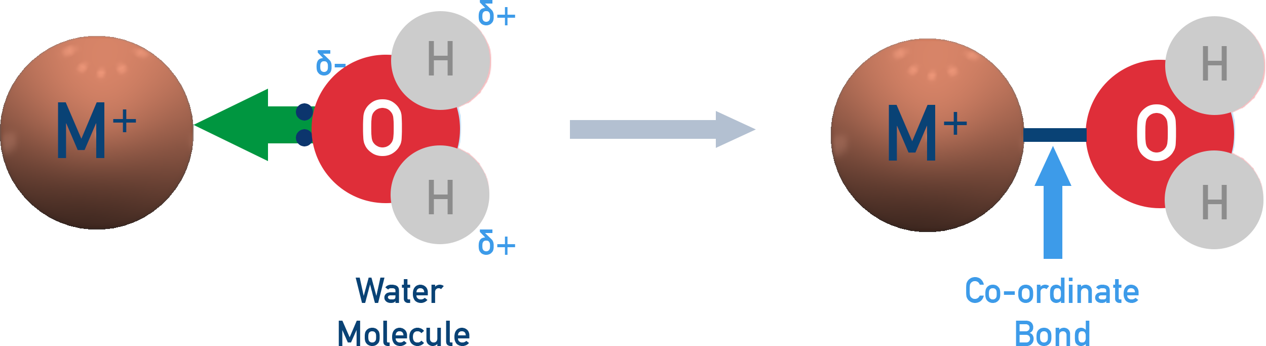 IB Chemistry diagram showing how a water molecule donates a lone pair to form a coordinate bond with a transition metal ion.