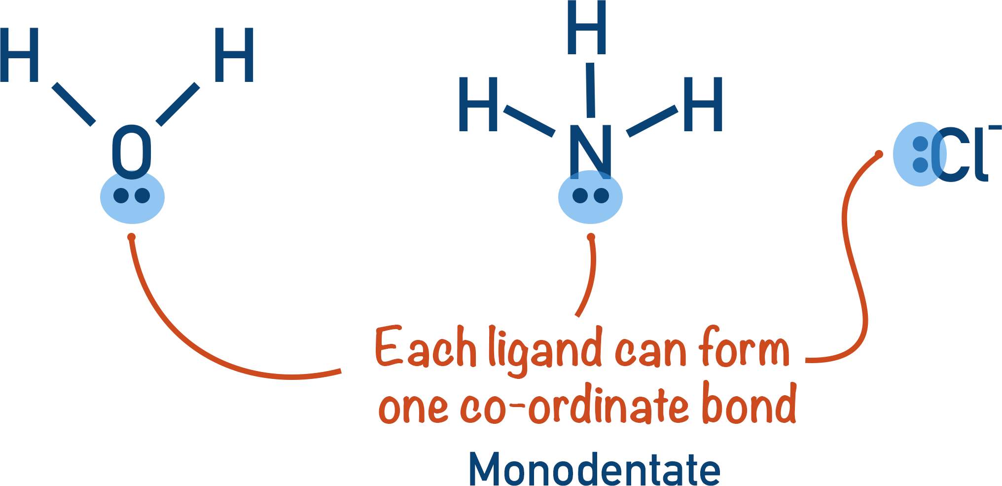 monodentate ligand water ammonia chloride lone pair of electrons