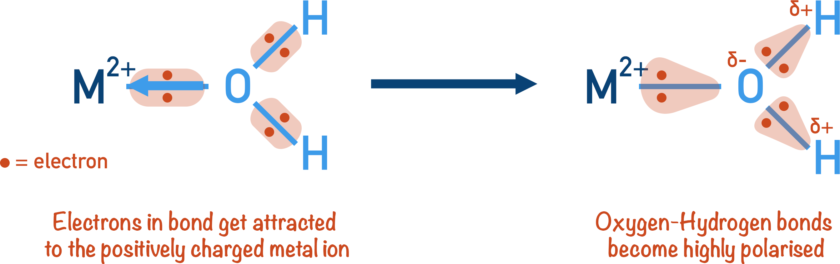 polarisation of metal ligan co-ordinate bond