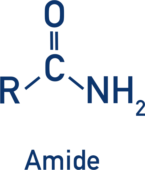 functional group amide