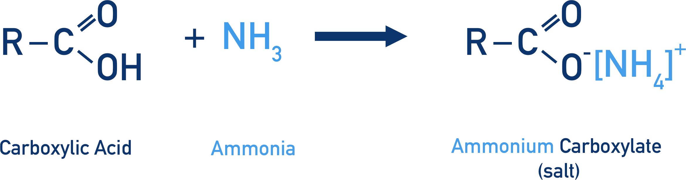 carboxylic acid and ammonia to form ammonium carboxylate