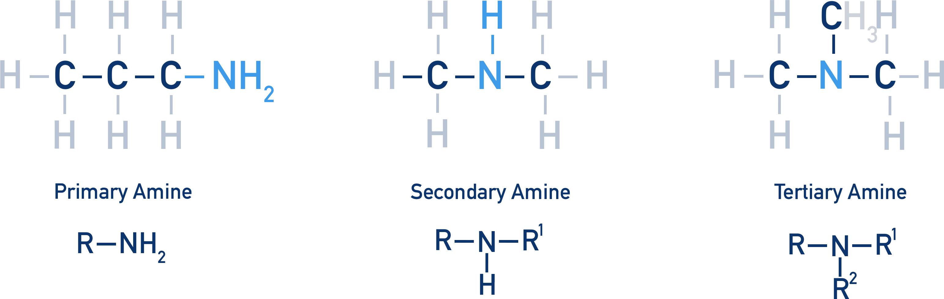 primary secondary tertiary amine structure