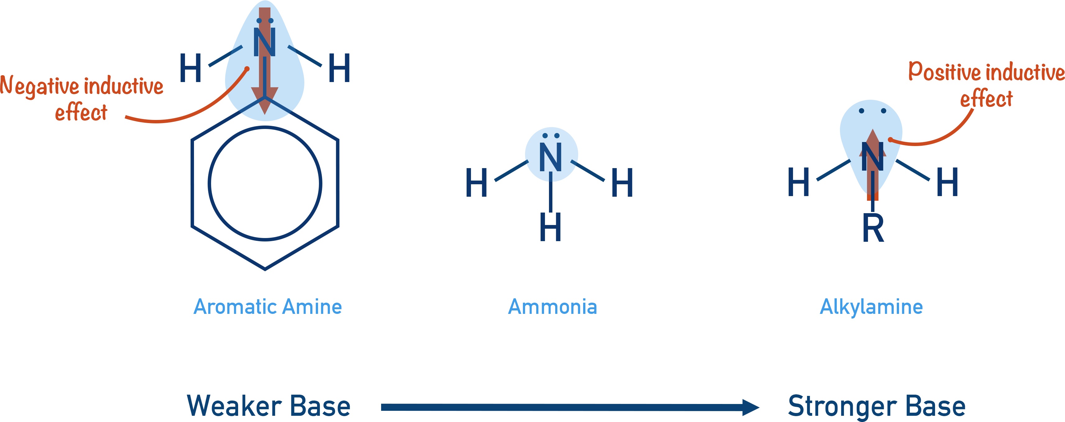 basicity aromatic amine ammonia alkyl amine