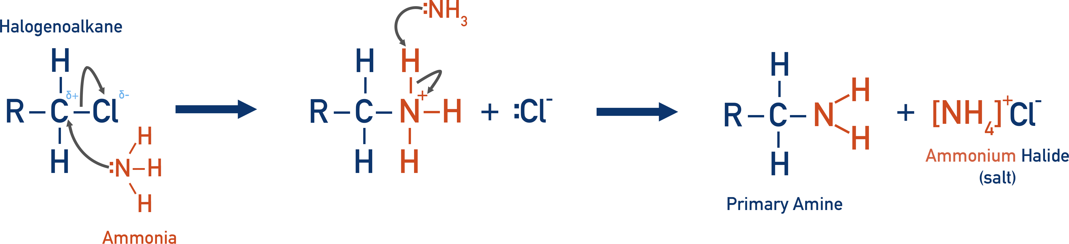 forming primary amine from halogenoalkane and ammonia mechanism