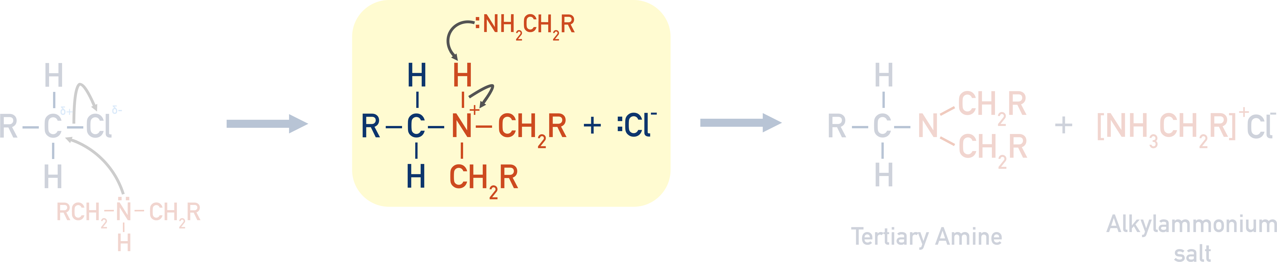 tertiary amine mechanism from halogenoalkane and secondary amine step 2