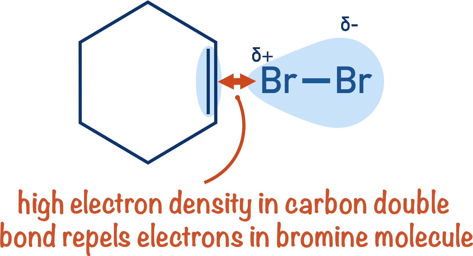 cyclohexene polarisation bromine