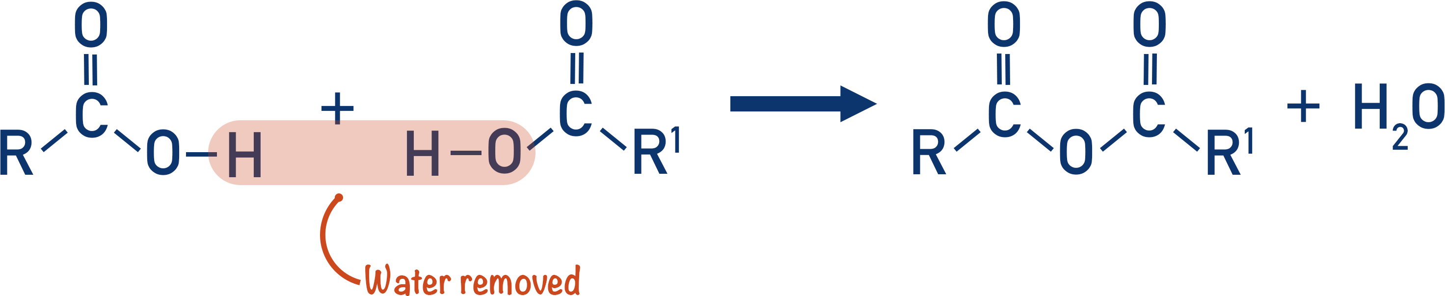 reaction between carboxylic acids to form acid anhydride and water
