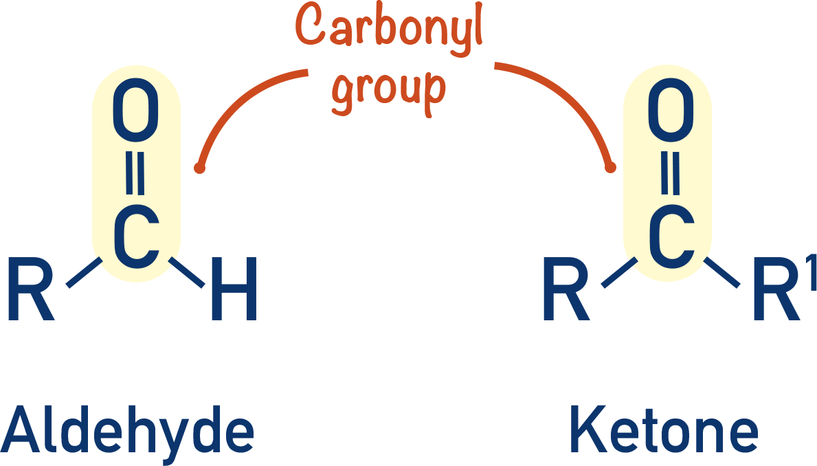 aldehyde and ketone carbonyl group
