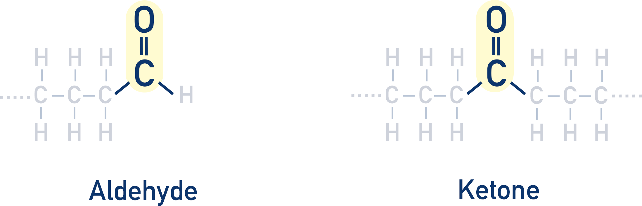 aldehyde and ketone chain position carbonyl