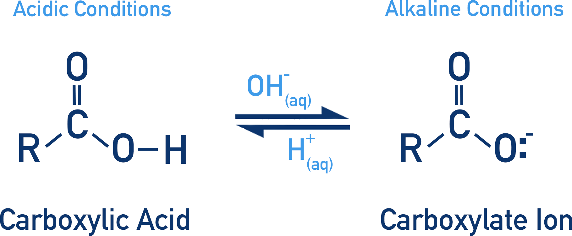carboxylic acid in acidic or alkaline conditions