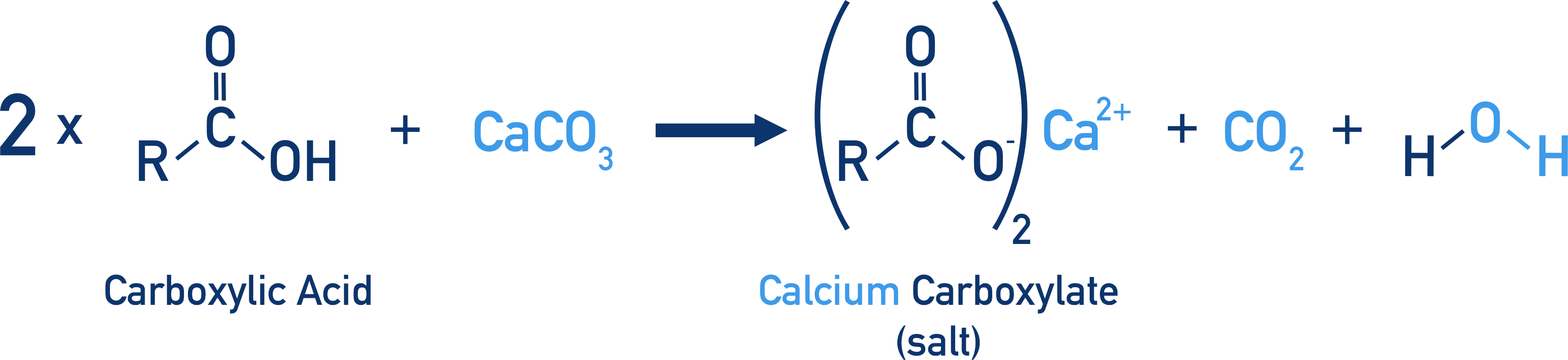 carboxylic acid with calcium carbonate to form salt calcium carboxylate and carbon dioxide and water
