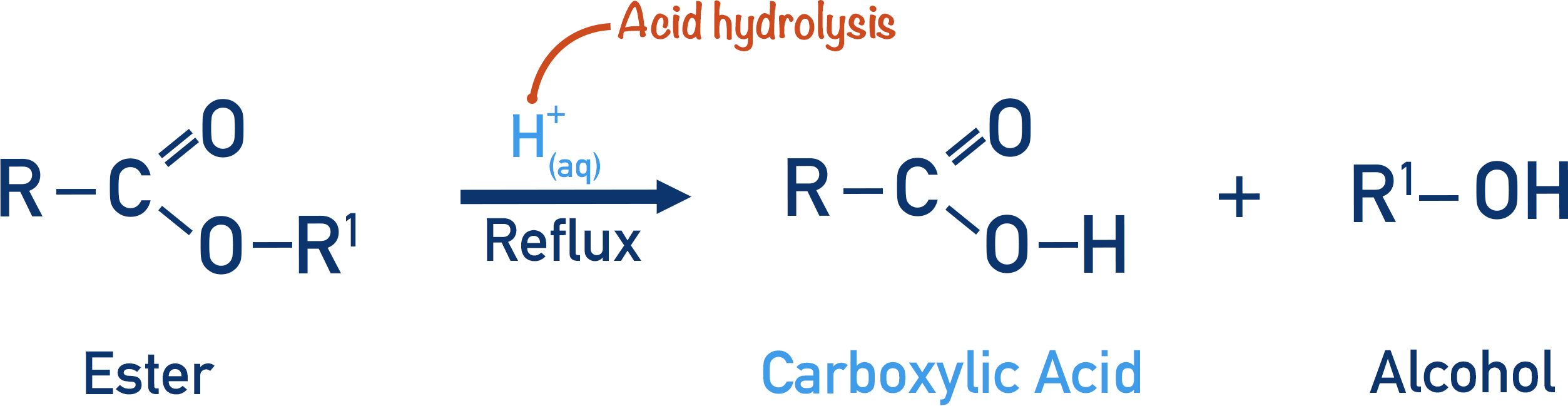 acid hydrolysis of ester reflux to form carboxylic acid