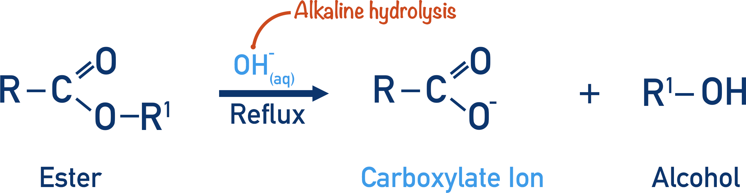 alkaline hydrolysis of ester reflux to form carboxylate ion